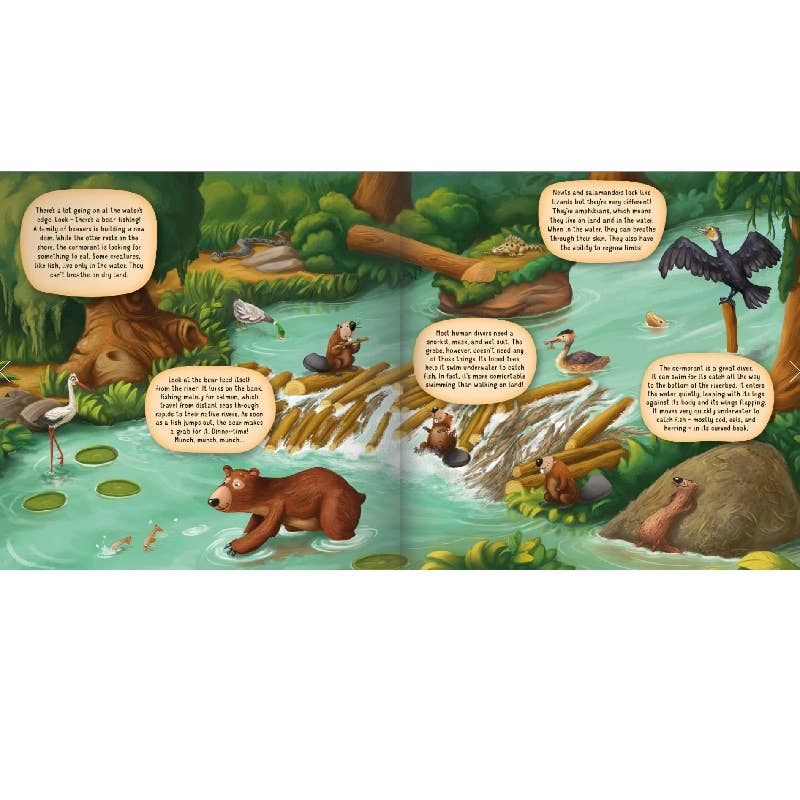 Board Book - The Riverbank